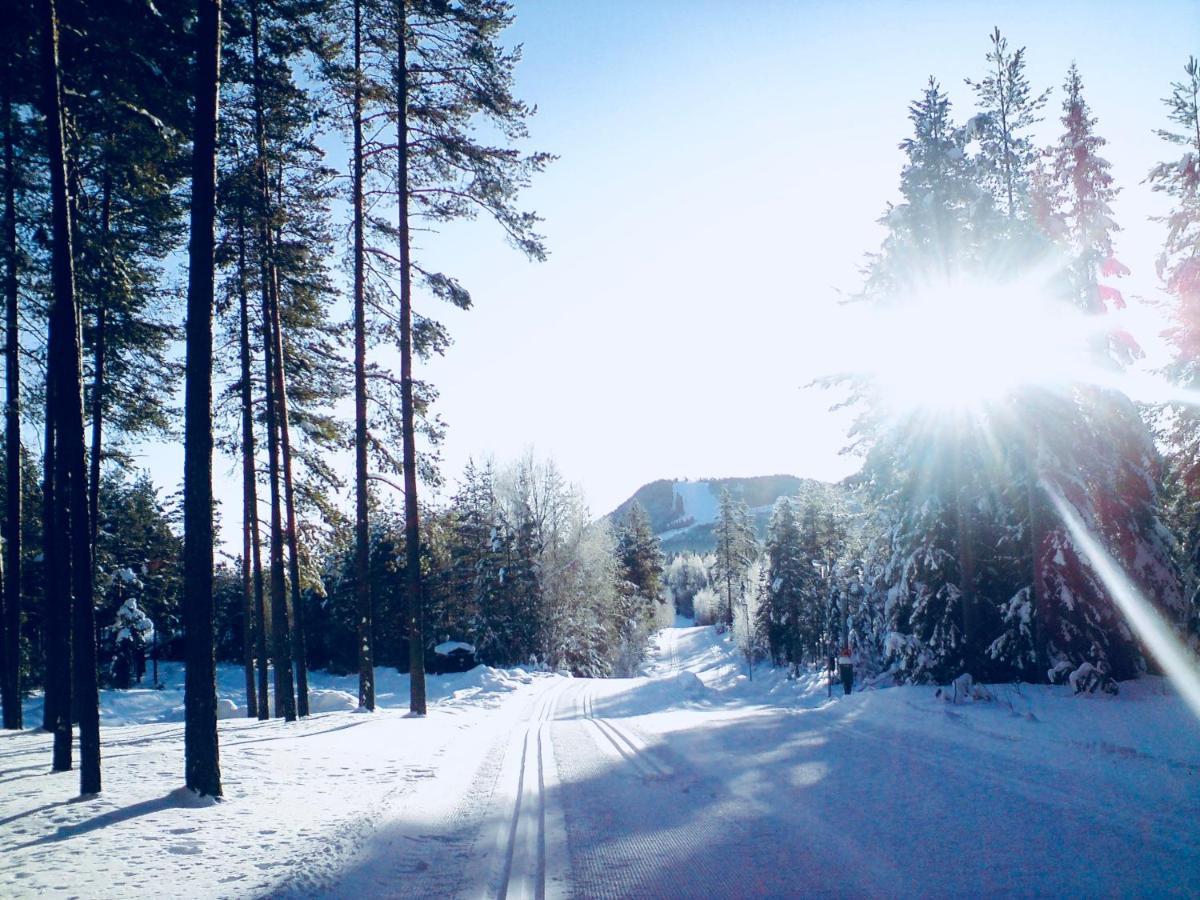 Vasa Ski Lodge Mora Luaran gambar